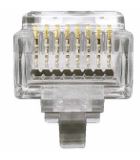 CONEC MACHO  RJ-45 8V CAT.6 BLIND.