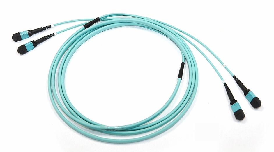 CD.DUPL.TERASPEED SC/SC 10FT(3,05M)