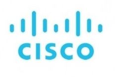 SOFT. GERENC. REM. FIND-IT CISCO 1Y