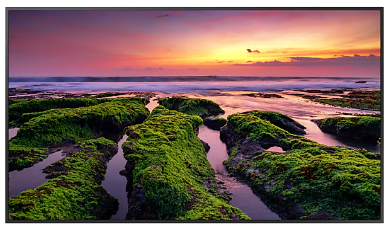 MONITOR SAMSUNG PRO UHD 4K 55 16X7